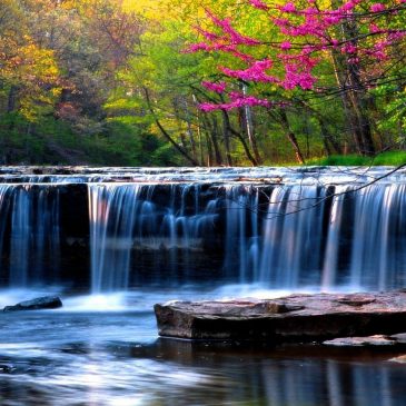 The beautiful water springs in Heaven